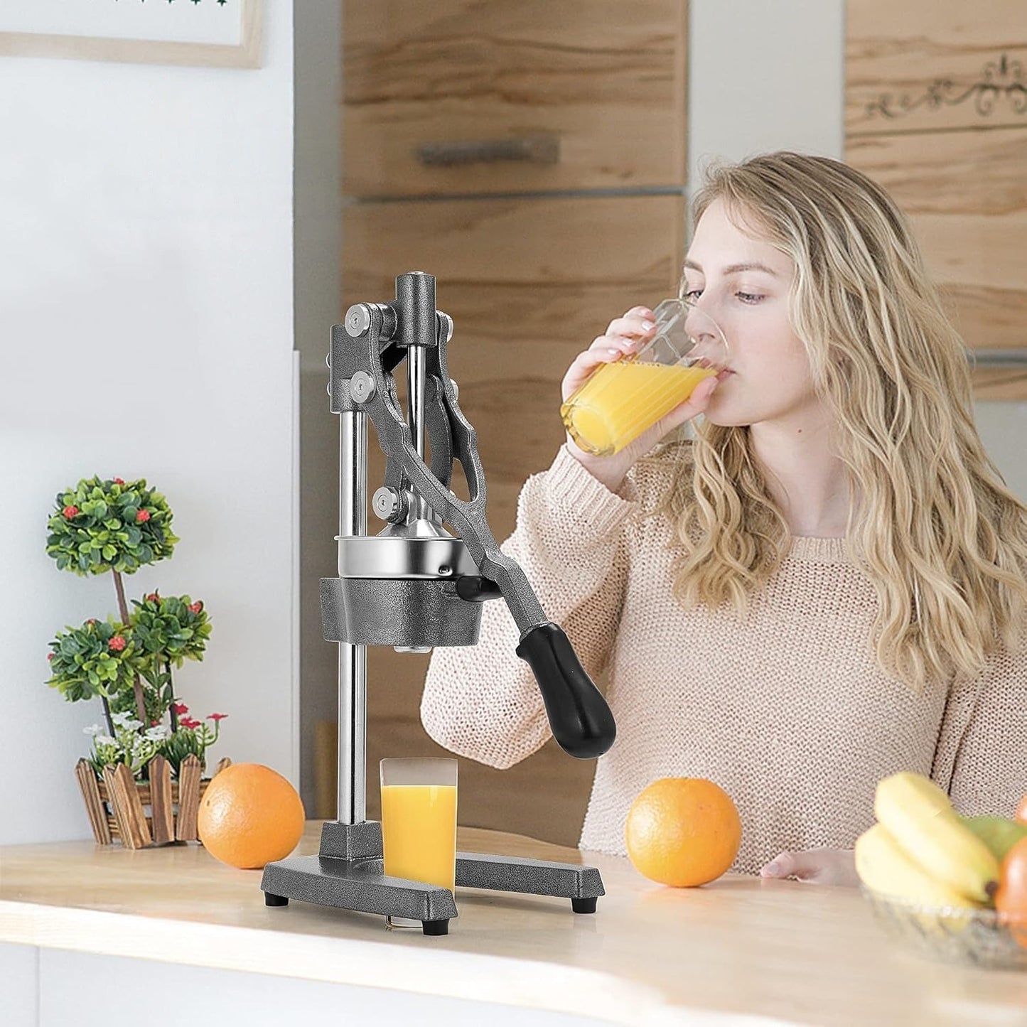 Storcator Manual Profesional din Fonta si Otel Inoxidabil - Presa pentru Stors Fructe