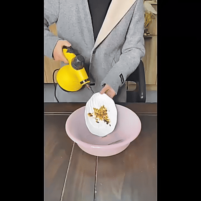 Aparat cu aburi de curatat WerStil,degresat si dezinfectat steam cleaner