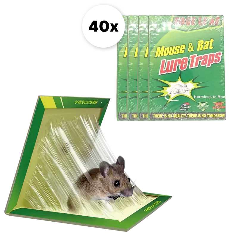 Set 40 Capcane Adezive Pentru Rozatoare | Fara Substante Toxice | Prindere Rapida | Reutilizabile | Eficienta Mare