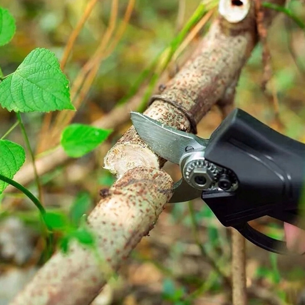 Foarfecă Electrică de Vie și Pomi, Tăiere până la 30 mm, 2 Acumulatori, în Valiză