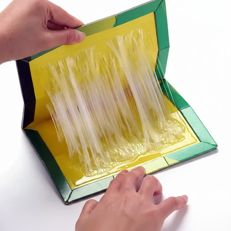 Set 40 Capcane Adezive Pentru Rozatoare | Fara Substante Toxice | Prindere Rapida | Reutilizabile | Eficienta Mare