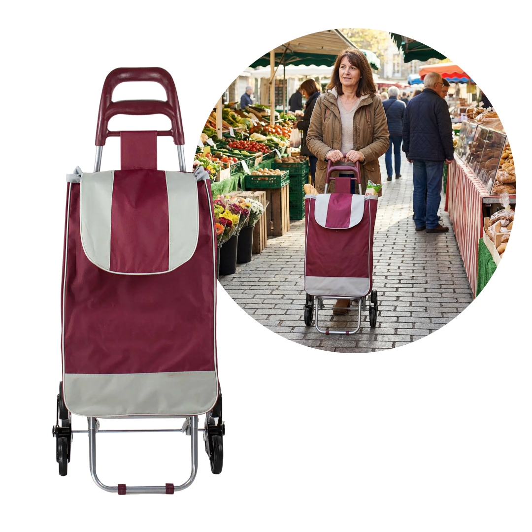 Carucior Cumparaturi 6 Roti cu Cadru Metalic si Sac 33 L – Carut Transport Pliabil si Usor de Folosit
