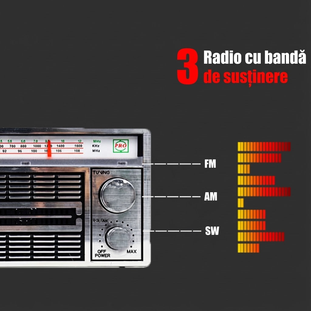 Radio Portabil Silver | AM FM LW | Antena Telescopica Rotativa Alimentare Retea Sau Baterii | Retro | Argintiu